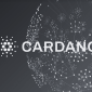 ada coin