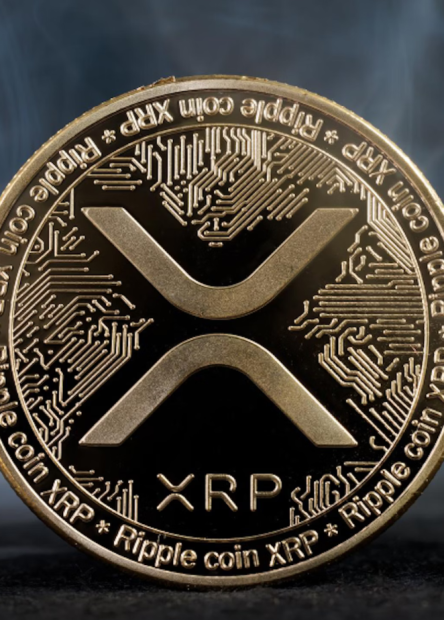 xrp davası