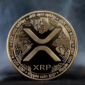 xrp davası