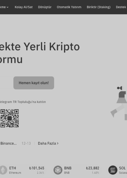 binance türkiye