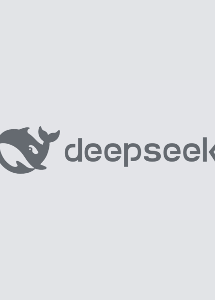 deep seek