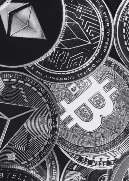 abd senator stablecoin desteği