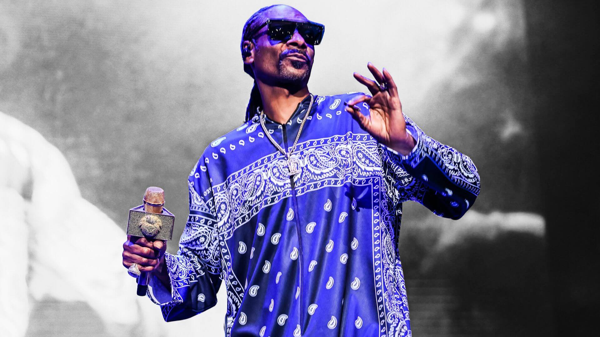 snoop dogs nft