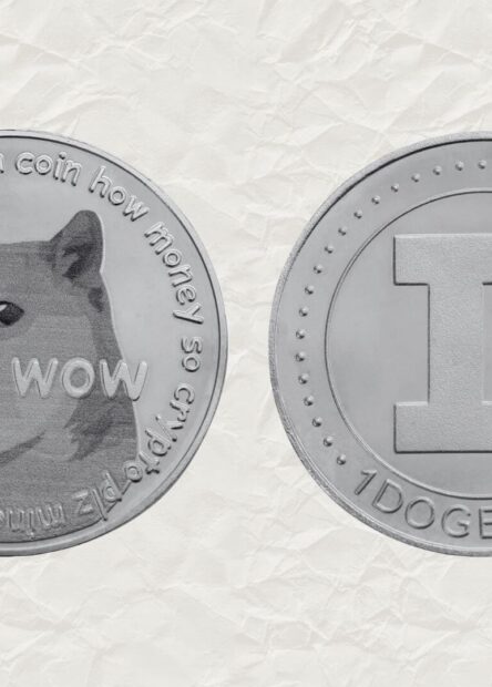 doge coin elon musk
